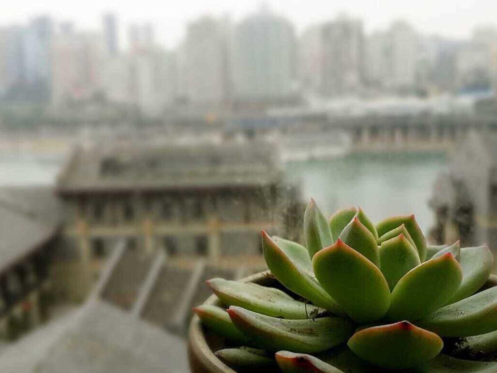 Boutique Of Meditation With Cuisine & Night View, Exit 2 Liujiatai Station Line 9 Chongqing Exteriör bild